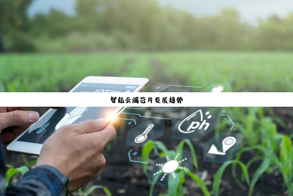 今日科普|智能云端芯片发展趋势