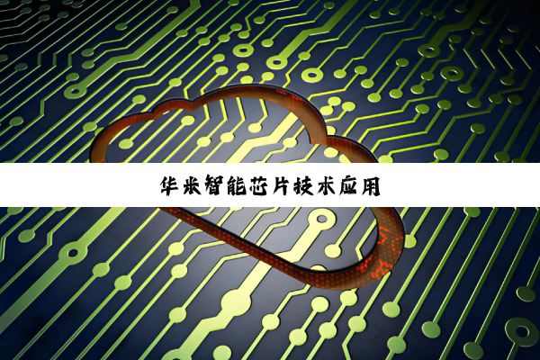 华米智能芯片技术应用